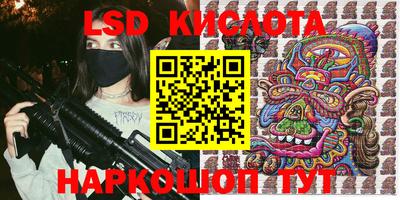 шишки Шелехов