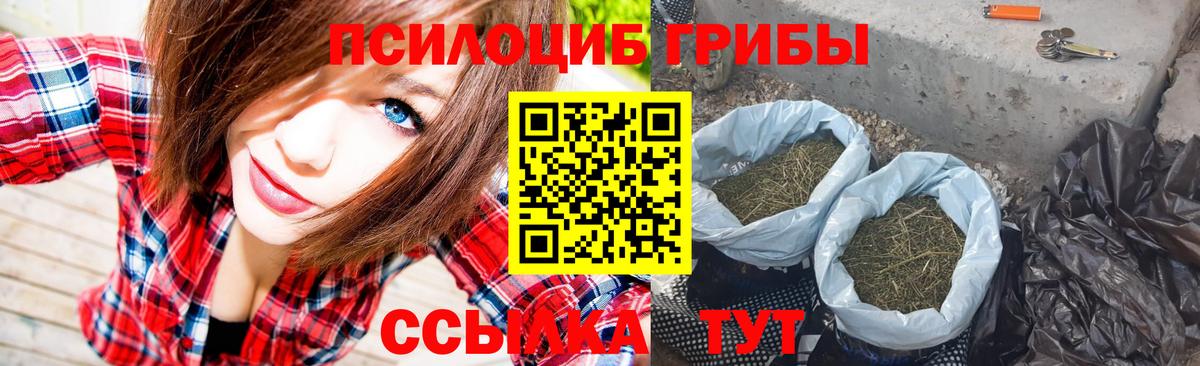 Чита  Галлюциногенные грибы ЛСД  Вход с VPN  Псилоцибиновые грибы Cubensis 