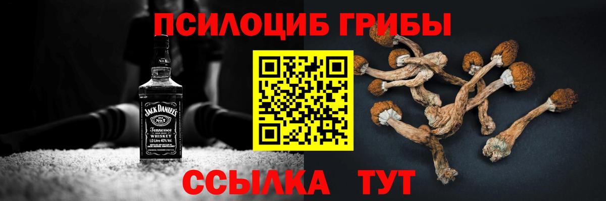 Галлюциногенные грибы Psilocybine cubensis Чита