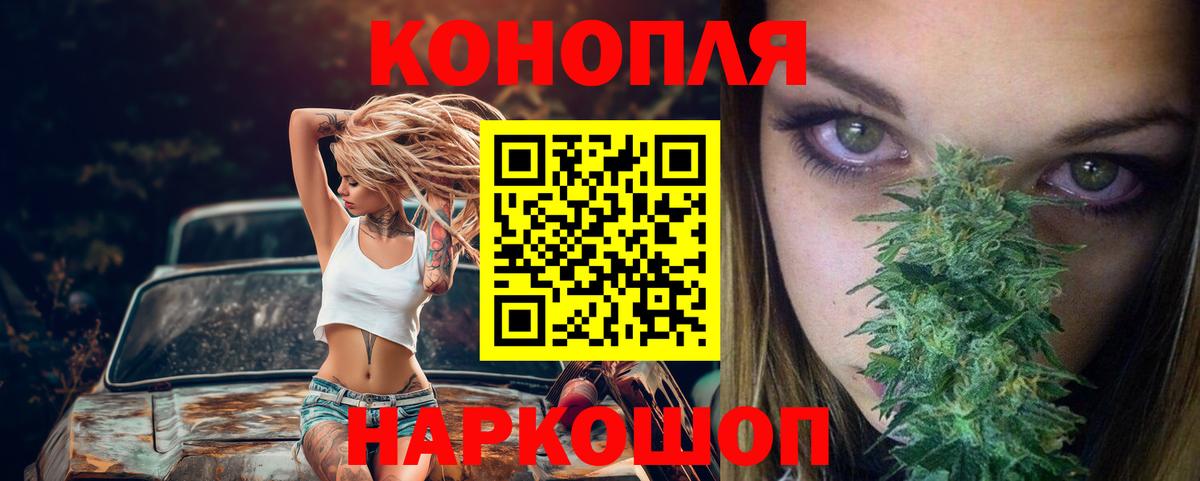 Бошки марихуана марихуана  Марихуана OG Kush  МАРИХУАНА план  Вход с VPN  Чита 